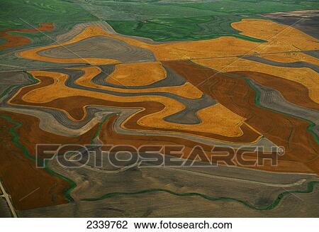 Stock Image - Agriculture - Aerial view of wheat fields in Autumn in various stages of growth, some areas ready for harvest and other areas post-harvest / Southwest Kansas, USA.. Fotosearch