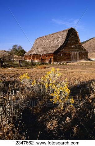 Stock Image - Agriculture - An old rustic wooden barn and corrals in Sagebrush country / Hot Springs, Montana, USA.. Fotosearch