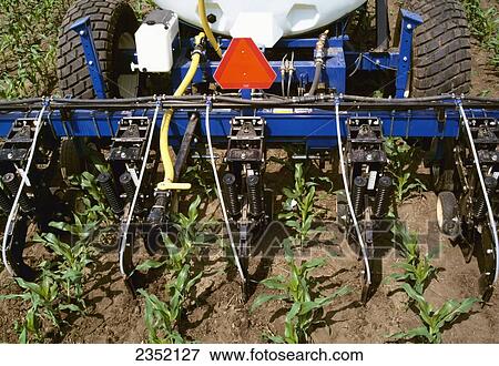 Agriculture - Chemical application, side-dressing early growth corn, nitrogen injection and cultivation, equipment close-up / Illinois, USA. View Large Photo Image Stock Photo - Agriculture - Chemical application, side-dressing early growth corn, nitrogen injection and cultivation, equipment close-up / Illinois, USA.. Fotosearch