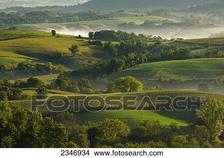 Picture - Agriculture - Dairy land at sunrise showing cornfields, alfalfa fields, dairies, silos and fog in low lying areas / Southwest Wisconsin, USA.. Fotosearch
