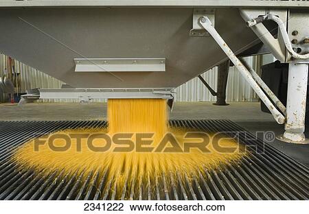 Stock Image - Agriculture - Ethanol production plant. Corn being unloaded from a grain truck / Iowa, USA.. Fotosearch