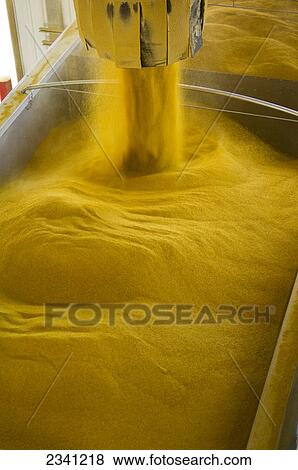 Stock Photo - Agriculture - Ethanol production plant. Ground corn being loaded into a grain truck after it has been used for ethanol production. This byproduct is known as distillers grain and will be used for commercial feed for cattle / Iowa, USA.. Fotosearch