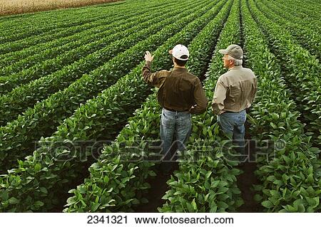 Agriculture - Father and son farmers examine the family View Large Photo Image Stock Image - Agriculture - Father and son farmers examine the family. Fotosearch