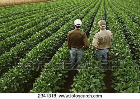 Stock Photo - Agriculture - Father and son farmers examine the family. Fotosearch