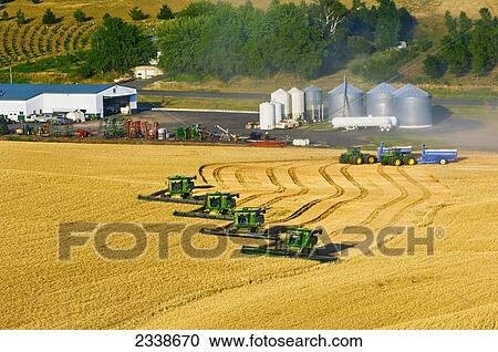 Agriculture Four John Deere Combines Harvest Wheat In Tandem Near The Farm Shop And Maintenance Yard Near Pullman Palouse Region Washington Usa Stock Image Fotosearch