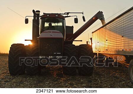 Stock Image - Agriculture - Grain corn being augered from a grain wagon into a grain truck at sunset during the Autumn harvest operations / Central Iowa, USA.. Fotosearch