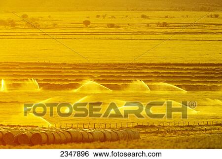 Agriculture - Hay fields being sprinkler irrigated while being bathed in early morning golden light / near Dillon, Montana, USA. View Large Photo Image Stock Photograph - Agriculture - Hay fields being sprinkler irrigated while being bathed in early morning golden light / near Dillon, Montana, USA.. Fotosearch