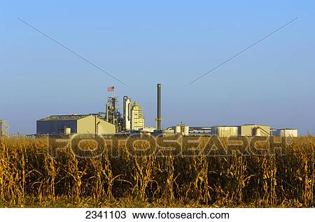 Stock Image - Agriculture - Large ethanol plant with a mature corn field in the foreground / Central Nebraska, USA.. Fotosearch