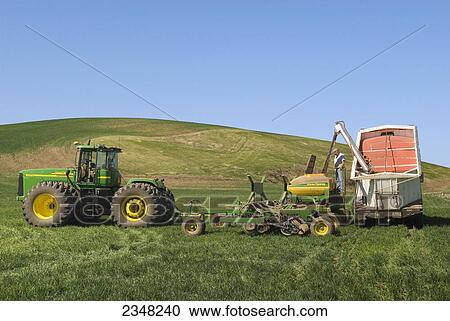 Agriculture - Loading an air seeder with wheat seeds to replant snow damaged areas of winter wheat in the rolling hills of the Palouse Region / near Pullman, Washington, USA. View Large Photo Image Stock Image - Agriculture - Loading an air seeder with wheat seeds to replant snow damaged areas of winter wheat in the rolling hills of the Palouse Region / near Pullman, Washington, USA.. Fotosearch