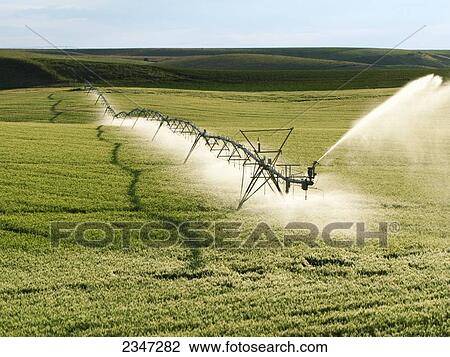 Stock Image - Agriculture - Operating center pivot irrigation system on a green grain field / Idaho, USA.. Fotosearch