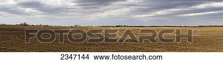 Picture - Agriculture - Panoramic view of a field newly planted to grain corn / Central Iowa, USA.. Fotosearch