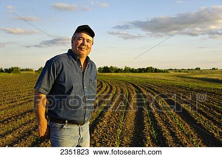 Stock Image - Agriculture - Portrait of a farmer in his early growth grain corn field several weeks after planting / Central Iowa, USA.. Fotosearch