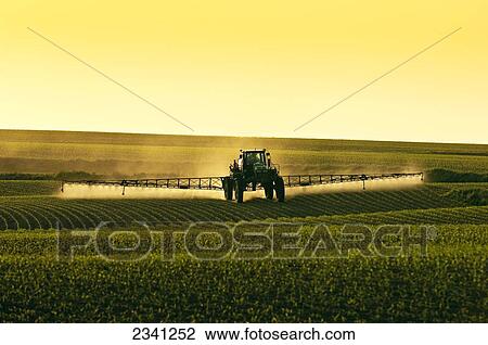 Agriculture - Post-emergent herbicide being applied to an early growth grain corn field by a John Deere sprayer in late afternoon light / Iowa, USA. View Large Photo Image Stock Image - Agriculture - Post-emergent herbicide being applied to an early growth grain corn field by a John Deere sprayer in late afternoon light / Iowa, USA.. Fotosearch