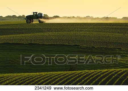Agriculture - Post-emergent herbicide being applied to an early growth grain corn field by a John Deere sprayer in late afternoon light / Iowa, USA. View Large Photo Image Stock Photo - Agriculture - Post-emergent herbicide being applied to an early growth grain corn field by a John Deere sprayer in late afternoon light / Iowa, USA.. Fotosearch