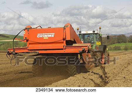 Picture - Agriculture - Preparing a seed bed for potato planting and removing stones using a Grimme machine pulled by a Fendt tractor / near Penrith, Cumbria, England, United Kingdom.. Fotosearch