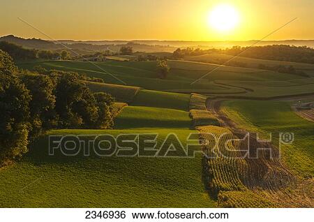 Stock Photograph - Agriculture - Rolling alfalfa fields and corn silage fields in late afternoon light with a farmstead in the distance / Southwest Wisconsin, USA.. Fotosearch