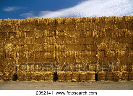 Stock Image - Agriculture - Stack of bailed alfalfa hay / Imperial Valley, California, USA.. Fotosearch
