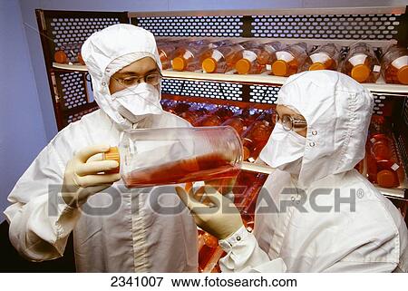 Agriculture - Technicians in an animal laboratory study virus samples used for cattle vaccine production. View Large Photo Image Stock Photo - Agriculture - Technicians in an animal laboratory study virus samples used for cattle vaccine production.. Fotosearch