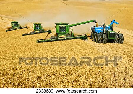 Stock Photo - Agriculture - Three John Deere combines in tandem harvest wheat while one unloads into a grain cart. Fotosearch