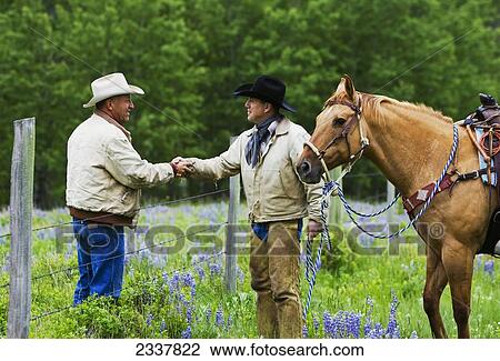 Stock Image - Agriculture - Two ranchers shake hands across the fence that separates their ranches in the Big Snowy foothills / near Judith Gap, Montana, USA.. Fotosearch