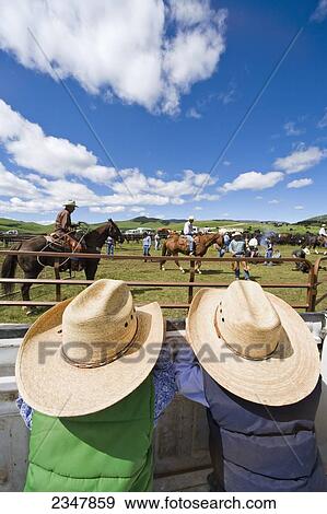 Stock Photo - Agriculture - Two young future cowboys watch their dads during branding operations from the bed of a pickup truck / near Stanford, Montana, USA.. Fotosearch