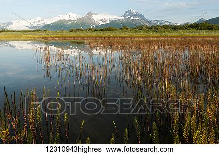 Stock Photograph - Alaska landscape with mountains reflected in the tranquil water, Katmai National Park; Alaska, United States of America. Fotosearch