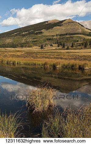 Alberta back country, Clearwater County; Alberta, Canada View Large Photo Image Stock Photograph - Alberta back country, Clearwater County; Alberta, Canada. Fotosearch