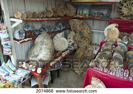 Ammonites For Sale At The Souvenir Market In Antananarivo, Madagascar View Large Photo Image Stock Photo - Ammonites For Sale At The Souvenir Market In Antananarivo, Madagascar. Fotosearch