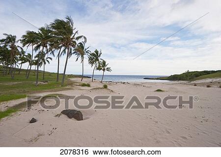 Anakena Beach, Rapa Nui (Easter Island), Chile View Large Photo Image Stock Photograph - Anakena Beach, Rapa Nui (Easter Island), Chile. Fotosearch