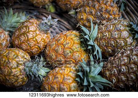 Stock Photograph - Ananas at Mercado da Graca; Ponta Delgada, Sao Miguel, Azores, Portugal. Fotosearch