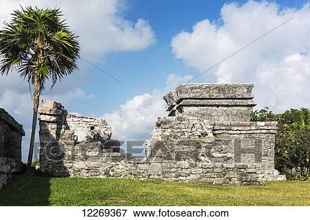 Ancient Mayan Temple with palm tree; Tulum, Quintana Roo, Mexico View Large Photo Image Stock Photo - Ancient Mayan Temple with palm tree; Tulum, Quintana Roo, Mexico. Fotosearch
