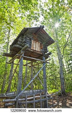 Stock Image - Athabascan food cache in woods, Athabascan Village site at Alaska Native Heritage Center, Anchorage, Southcentral Alaska, Summer.. Fotosearch