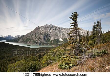 Atlin Lake from Teresa Island; British Columbia, Canada View Large Photo Image Stock Photograph - Atlin Lake from Teresa Island; British Columbia, Canada. Fotosearch