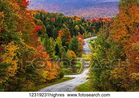 Stock Photograph - Autumn coloured foliage on the trees lining a country road; Sutton, Quebec, Canada. Fotosearch