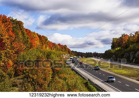 Autumn coloured forest along Autoroute 10, Eastern townships; South Stukely, Quebec, Canada View Large Photo Image Stock Photograph - Autumn coloured forest along Autoroute 10, Eastern townships; South Stukely, Quebec, Canada. Fotosearch