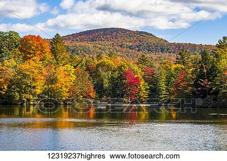 Stock Photograph - Autumn coloured trees in a forest around a small lake; Sally's Pond, Quebec, Canada. Fotosearch