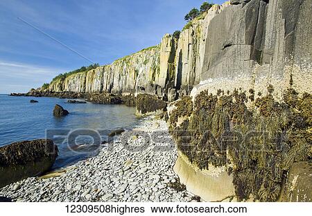 Stock Photograph - Basalt rock cliffs, Bay of Fundy; Brier Island, Nova Scotia, Canada. Fotosearch