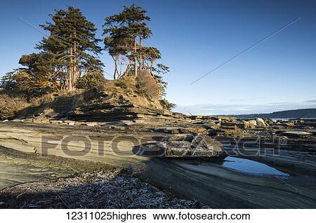 Beach on Hornby Island; Hornby Island, British Columbia, Canada View Large Photo Image Stock Photograph - Beach on Hornby Island; Hornby Island, British Columbia, Canada. Fotosearch