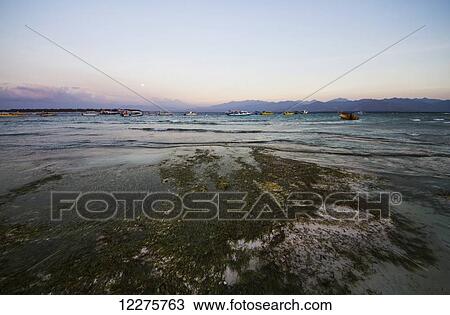 Beach with boats in the Lombok Strait with Lombok island in the background, Gili Trawangan, West Nusa Tenggara, Indonesia View Large Photo Image Stock Image - Beach with boats in the Lombok Strait with Lombok island in the background, Gili Trawangan, West Nusa Tenggara, Indonesia. Fotosearch