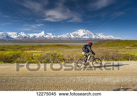 Stock Photography - Bicyclist on the park road with Mt. McKinley and the Alaska Range in the background, Interior Alaska, Summer. Fotosearch
