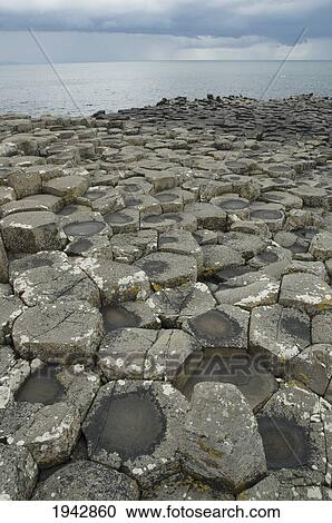 Black Basalt Columns Sticking Out Of The Sea, Giant's Causeway, Northern Ireland, United Kingdom View Large Photo Image Stock Image - Black Basalt Columns Sticking Out Of The Sea, Giant's Causeway, Northern Ireland, United Kingdom. Fotosearch