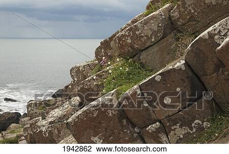 Stock Image - Black Basalt Columns Sticking Out Of The Sea, Giant's Causeway, Northern Ireland, United Kingdom. Fotosearch