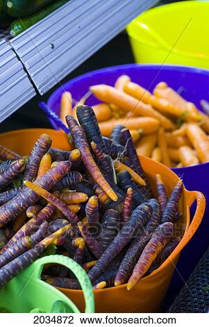Blue Carrots, Lincoln Gardens, Lumsden, Saskatchewan View Large Photo Image Stock Image - Blue Carrots, Lincoln Gardens, Lumsden, Saskatchewan. Fotosearch