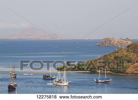 Boats in the harbour, Labuan Bajo, Flores, East Nusa Tenggara, Indonesia View Large Photo Image Stock Photo - Boats in the harbour, Labuan Bajo, Flores, East Nusa Tenggara, Indonesia. Fotosearch