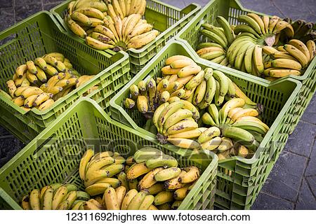 Stock Photograph - Boxes of bananas at Mercado da Graca; Ponta Delgada, Sao Miguel, Azores, Portugal. Fotosearch