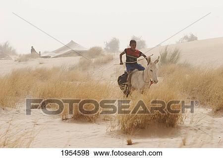 Stock Photo - Boy riding a donkey near Timbuktu, Mali. Fotosearch