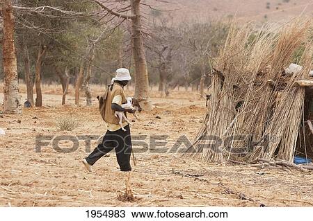 Stock Image - Boy with little goat, Amani, Dogon Lands, Mali. Fotosearch
