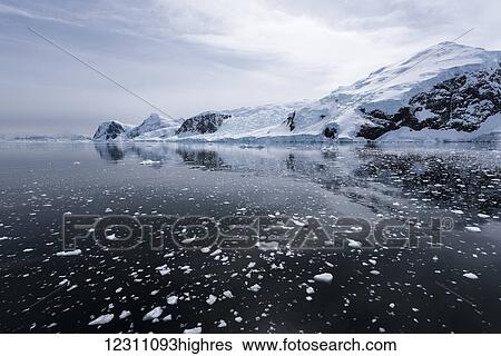 Stock Photograph - Brash ice and reflections; Antarctica. Fotosearch