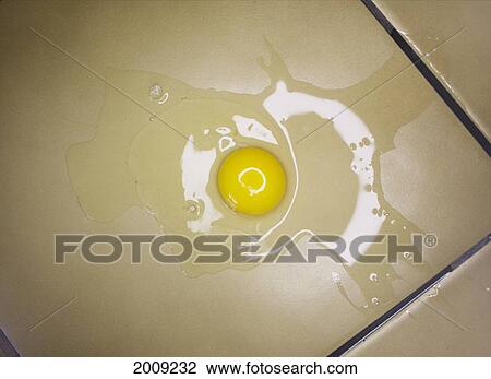 Broken Egg On Kitchen Floor View Large Photo Image Stock Image - Broken Egg On Kitchen Floor. Fotosearch