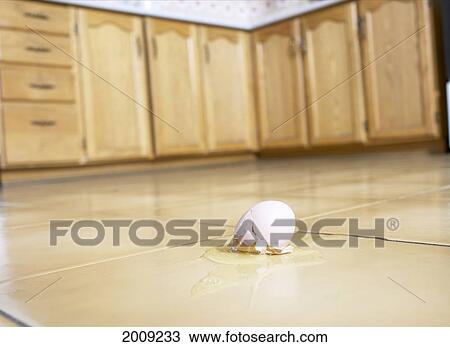Broken Egg On Kitchen Floor View Large Photo Image Stock Image - Broken Egg On Kitchen Floor. Fotosearch